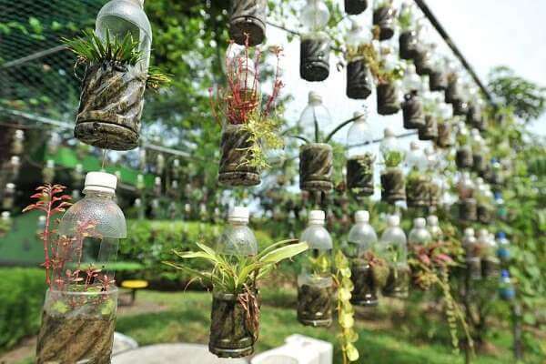 Pet Şişelerden Botanik Bahçe Tasarımı
